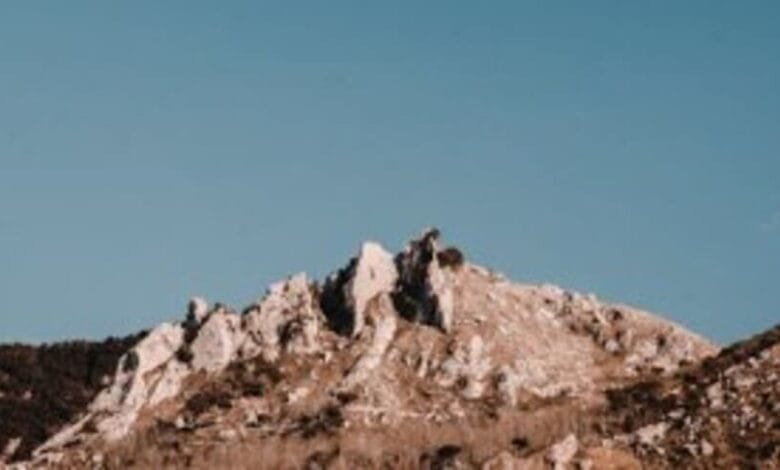 كانط المثالية في ظل سرعة تقدم التفكير الفلسفي