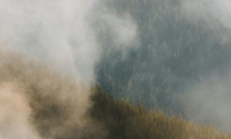 المستقبل لكوكب نظيف