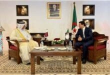 التعاون الجزائري القطري 2024