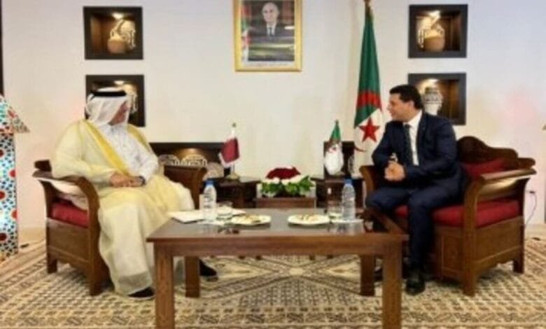 التعاون الجزائري القطري 2024