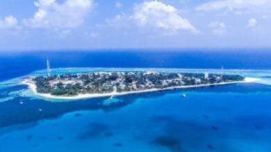 عادات الطبخ في جذور المالديف: رحلة داخل المطابخ المنزلية والوصفات السائدة.